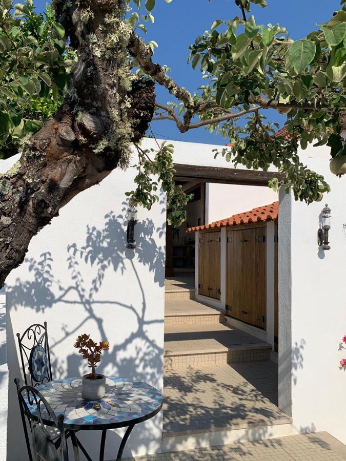 Bed and Breakfast Casa Da Oliveira Pedrogao Grande Exterior foto