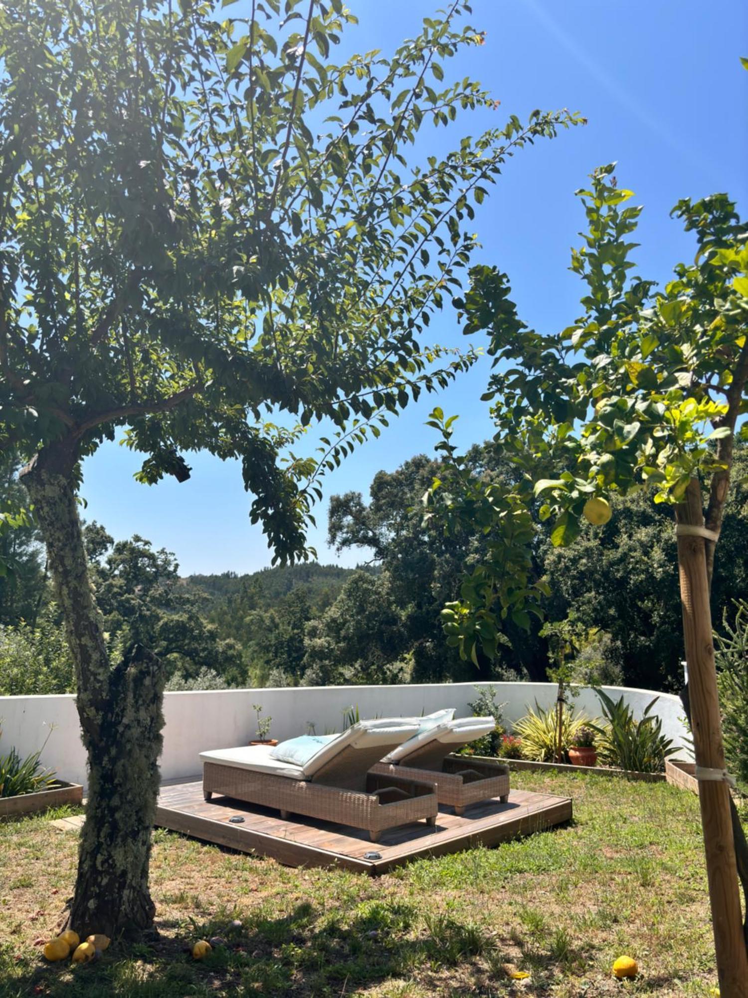 Bed and Breakfast Casa Da Oliveira Pedrogao Grande Exterior foto